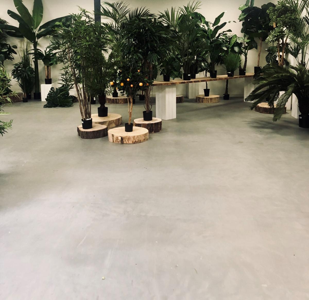 Showroom Microcement Eco Wood 2K